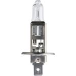 H1 Longerlife Eco Vision 12258LLECOB1