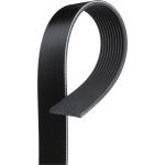 10PK1715ES Micro V XF LKW Riemen 10PK1715HD 10PK1715ES Micro V XF LKW Riemen 10PK1715HD