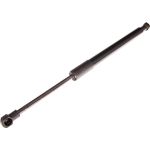 Gasfeder, Koffer-/Laderaum 12-0232