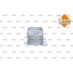 NRF Ölkühler, Motoröl 31286 NRF Ölkühler, Motoröl 31286