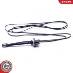 ESEN SKV Sensor, Ansauglufttemperatur 17SKV612