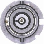 V99-84-0016 Vemo Scheinwerferlampe V99-84-0016 V99-84-0016 Vemo Scheinwerferlampe V99-84-0016