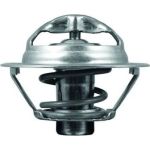Thermostateinsatz mit Dichtung TX 175 95D Thermostateinsatz mit Dichtung TX 175 95D