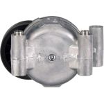 Riemenspanner, Keilrippenriemen T38318 Riemenspanner, Keilrippenriemen T38318