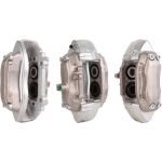 Tauschbremssattel 3193000