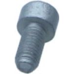 VAG Original N10572403 VAG Original Schraube Audi A3 04 – – OE-Nr. N10572403 VAG Original N10572403 VAG Original Schraube Audi A3 04 – – OE-Nr. N10572403