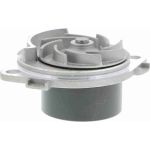 Vaico Wasserpumpe / Kühlmittelpumpe V24-50017