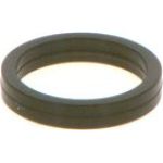 O-Ring F 00V C38 100 O-Ring F 00V C38 100