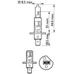 H1 Longerlife Eco Vision 12258LLECOB1