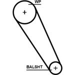Gates Zahnriemensatz mit Wasserpumpe KP1TH15698XS-1 – mit Thermostat Gates Zahnriemensatz mit Wasserpumpe KP1TH15698XS-1 – mit Thermostat