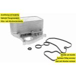 Vemo Motorölkühler V15-60-6070 Vemo Motorölkühler V15-60-6070
