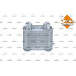 NRF Ölkühler, Motoröl 31234 NRF Ölkühler, Motoröl 31234