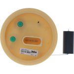 Valeo Kraftstoffpumpe 348710