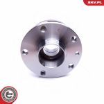 ESEN SKV Radlagersatz 29SKV215 ESEN SKV Radlagersatz 29SKV215