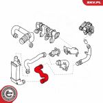 SKV GERMANY Luftschlauch 43SKV089
