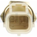 Delphi Kühlmitteltemperatursensor TS10289 Delphi Kühlmitteltemperatursensor TS10289