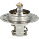 NRF Thermostat 725066 NRF Thermostat 725066