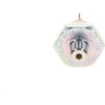 0 986 344 054 Bosch Druckschalter 0 986 344 054
