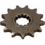 AFAM Ritzel 13 Zähne 94119-13 AFAM Ritzel 13 Zähne 94119-13