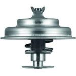 Thermostateinsatz mit Dichtung TX 75 80D Thermostateinsatz mit Dichtung TX 75 80D