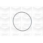 GRAF Wasserpumpe PA347 GRAF Wasserpumpe PA347