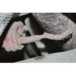 Halter Abgasanlage 82 15 4358 Halter Abgasanlage 82 15 4358