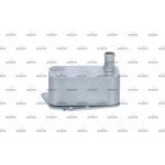 Ölkühler, Motor“L 31217 Ölkühler, Motor“L 31217