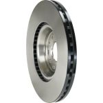 17 481 053 Bremsscheibe VA DF6133S 17 481 053 Bremsscheibe VA DF6133S