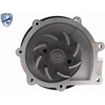 Vaico Wasserpumpe / Kühlmittelpumpe V46-50013