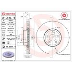 15 481 198 Bremsscheibe VA Co-Cast 09.D529.13
