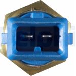 DELPHI Temperatursensor TS10250