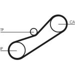 CT950K1 Continental CTAM Timing-Kit CT950K1 CT950K1 Continental CTAM Timing-Kit CT950K1