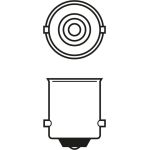 T4W 12V 4W PURE LIGHT 1987302207 T4W 12V 4W PURE LIGHT 1987302207