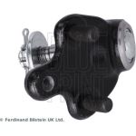 BluePrint Traggelenk ADT386136 BluePrint Traggelenk ADT386136