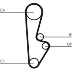 Continental CTAM Timing-Kit CT559K1 Continental CTAM Timing-Kit CT559K1
