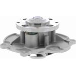 Vaico Wasserpumpe / Kühlmittelpumpe V40-50049