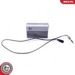 ESEN SKV Sensor, Abgastemperatur 30SKV389