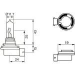 H9 12V 65W PURE LIGHT 1987302082 H9 12V 65W PURE LIGHT 1987302082