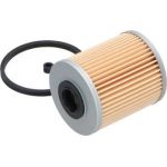 AMC Kraftstofffilter PKW NF-2481 AMC Kraftstofffilter PKW NF-2481