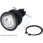 Gelenk - Radaufhängung Honda P. Accord 98-03 Le/Pr Gàrny ADH286138 Gelenk - Radaufhängung Honda P. Accord 98-03 Le/Pr Gàrny ADH286138