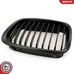 ESEN SKV Kühlergitter 66SKV062 ESEN SKV Kühlergitter 66SKV062
