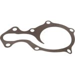 Valeo Wasserpumpe 529207