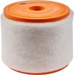 Champion Luftfilter CAF101081R Champion Luftfilter CAF101081R