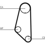 Continental CTAM Timing-Kit CT732WP1 Continental CTAM Timing-Kit CT732WP1