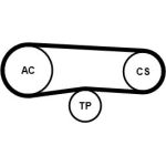 CONTINENTAL CTAM Keilrippenriemensatz 4PK863K1 CONTINENTAL CTAM Keilrippenriemensatz 4PK863K1
