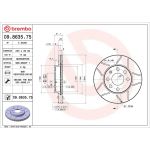 10 481 029M Bremsscheibe VA Brembo Max 09.8635.75