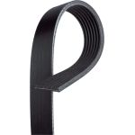 Micro-V Riemen 7PK1240
