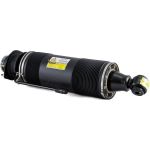 Arnott Luftfederbein HA re SK-2419 Arnott Luftfederbein HA re SK-2419