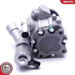 ESEN SKV Hydraulikpumpe, Lenkung 10SKV290 ESEN SKV Hydraulikpumpe, Lenkung 10SKV290