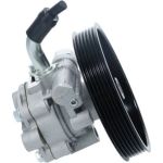 Bosch mechanische Servopumpe K S02 000 081